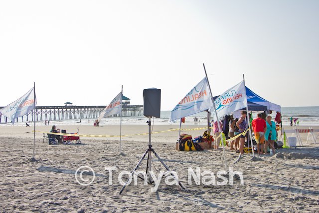 Surfers Healing Flags