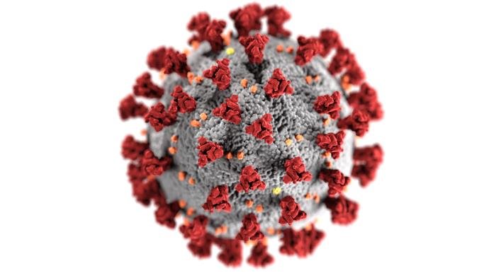 How the Church Should Respond to the Coronavirus